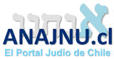 anajnu.cl