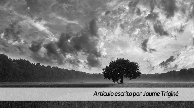 ecoteología